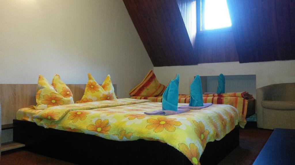 Отель Casa Frasin Буштени Номер фото